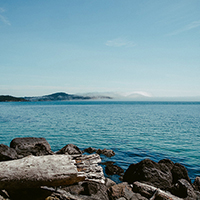 激活平台正规的攻击网站在线工具